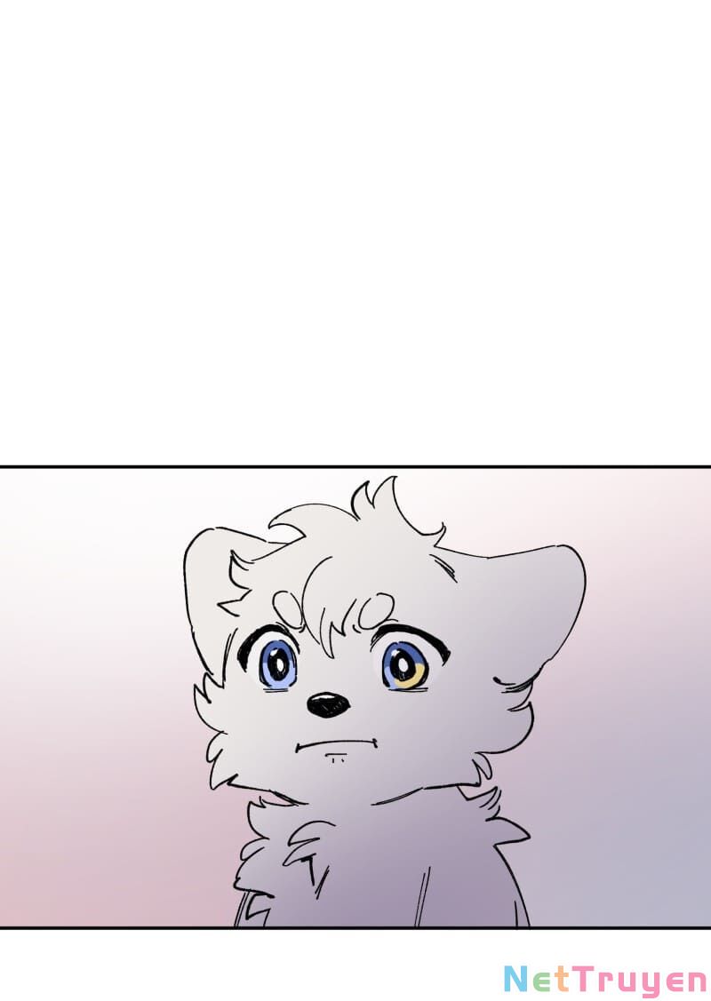 lumine - cội nguồn ánh sáng chapter 113 8