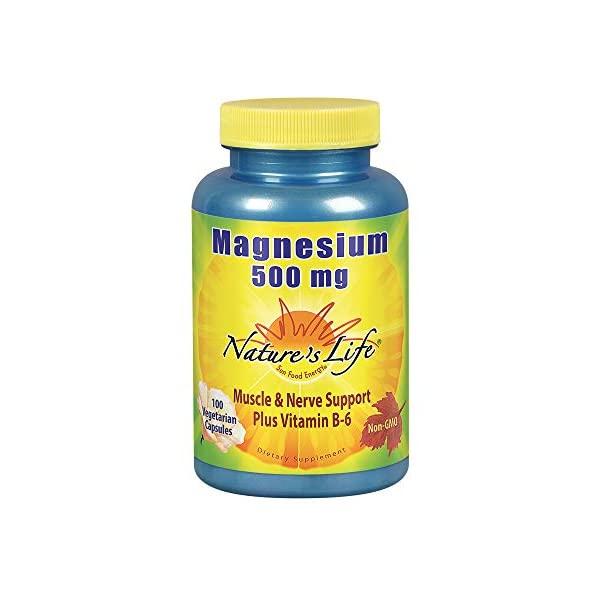 Nature’s Life Magnesium Capsules, 500mg | High Potency Magnesium Supplement Plus Vitamin B-6 for Muscles & Nerves Support | 250 Count