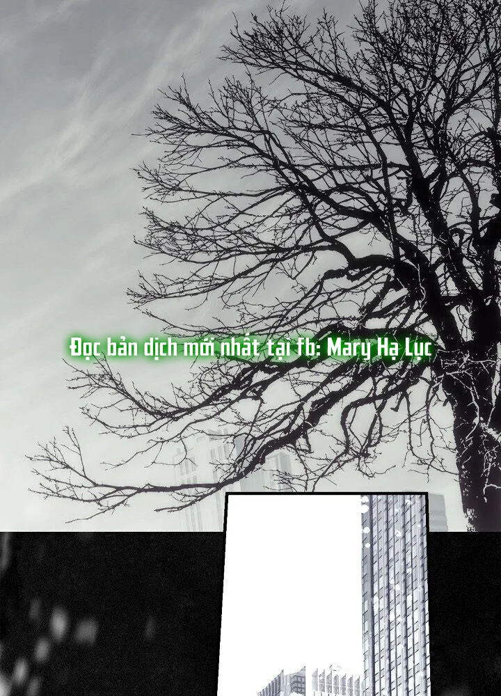 quý cô bí ẩn - secret lady chapter 1 11