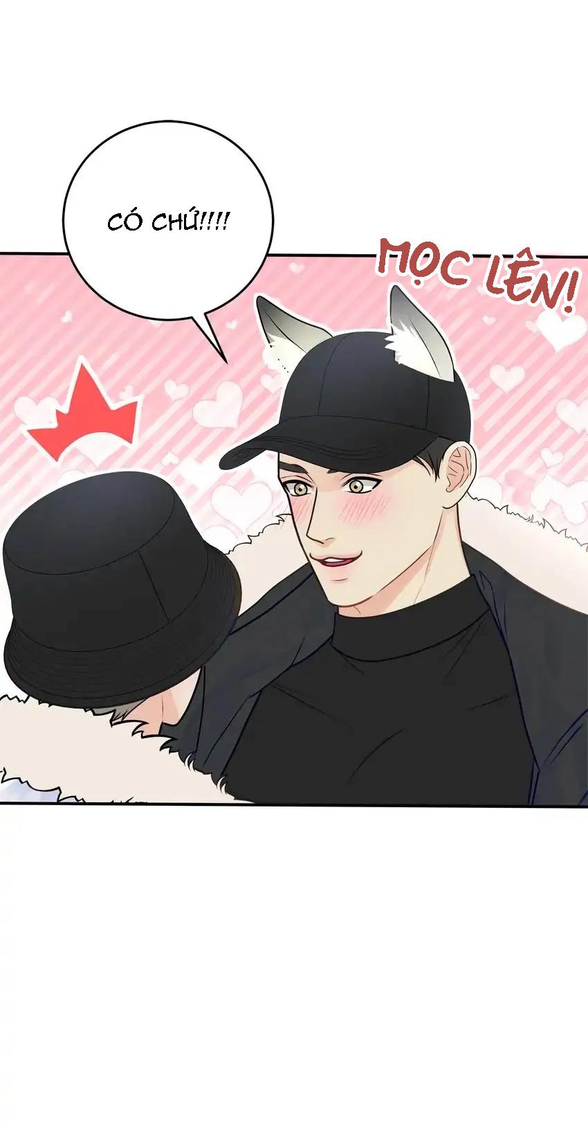 hạnh phúc trọn vẹn chapter 40 42