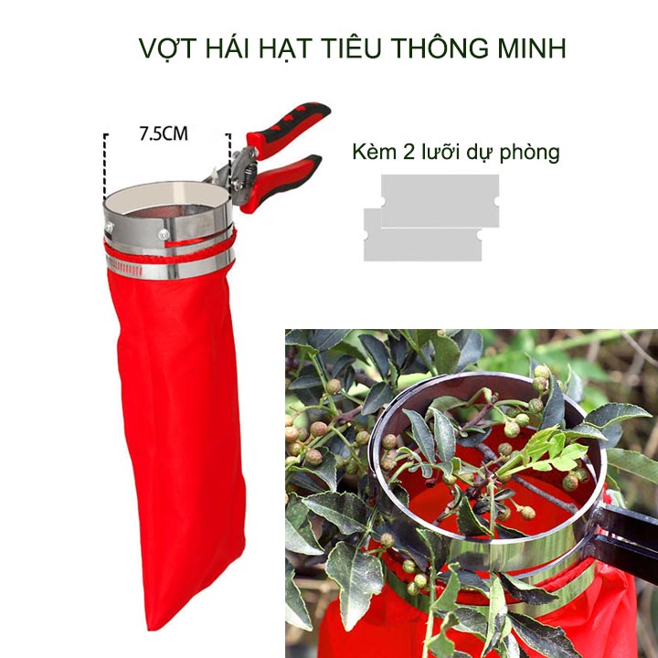 Dụng cụ hái quả tiêu thông minh tiện dụng kèm 2 lưỡi dự phòng