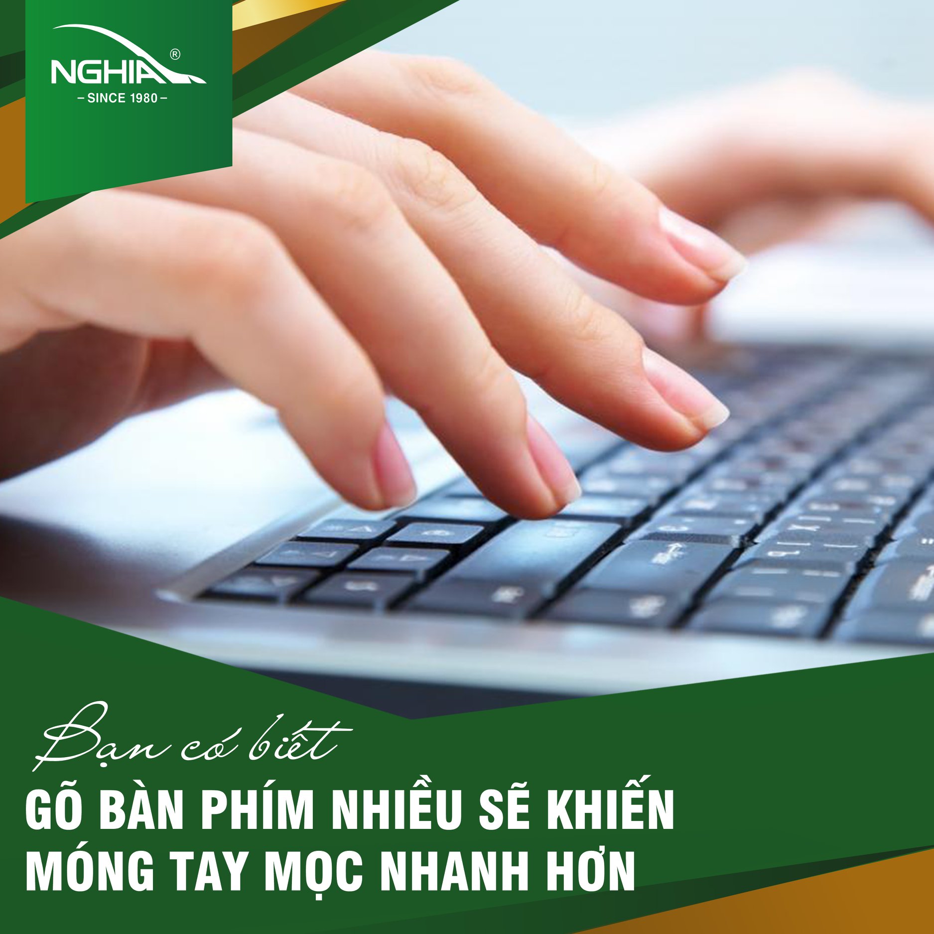 Bấm Móng Tay Chân Thép Không Gỉ KỀM NGHĨA B.904 - Lưỡi Cong (Loại Nhỏ)