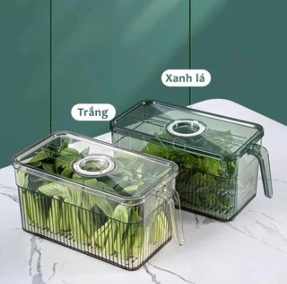 Hộp Bảo Quản Thực Phẩm Tủ Lạnh 3.5L Trong Suốt Có Khay Lót Đáy Và Tay Cầm