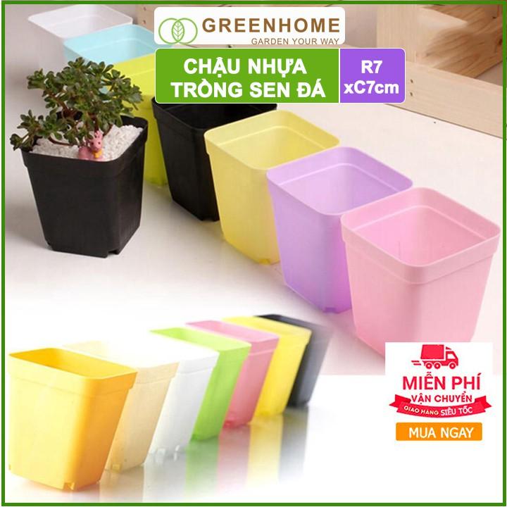 Bộ 10 Chậu nhựa trồng sen đá ,xương rồng, 7x7cm, màu sắc hiện đại