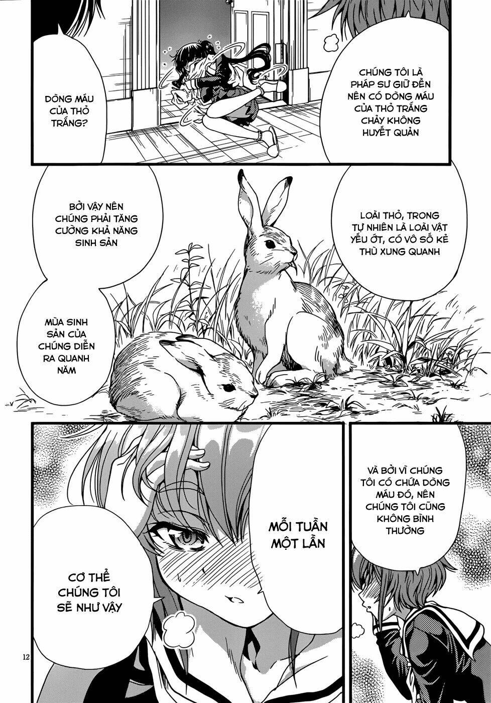 những cô gái có đôi tai thỏ chapter 5 13