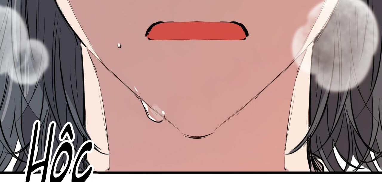 đàn thỏ của habibi chapter 36 363