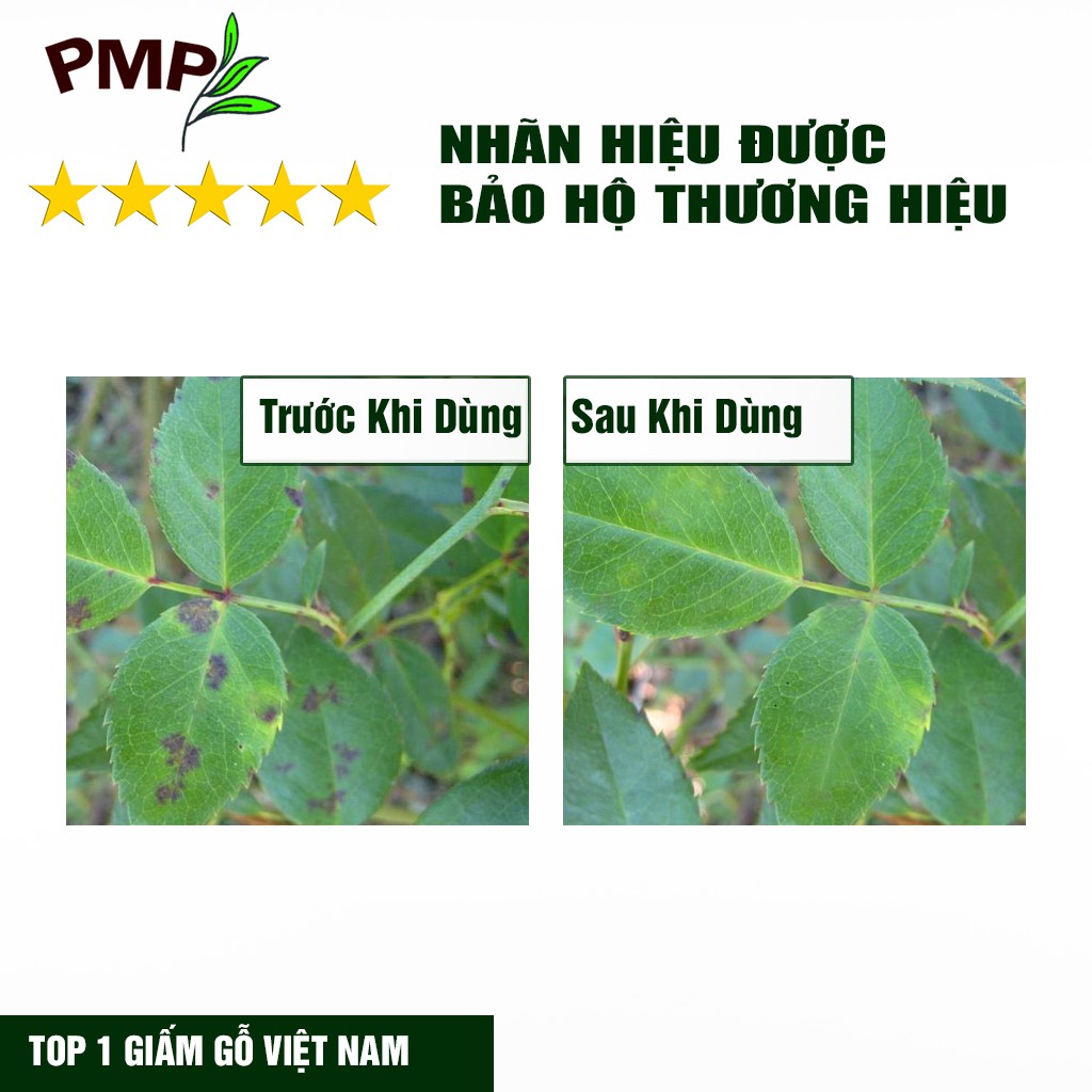 Combo Green Neem Hữu Cơ, Chế Phẩm Vi Sinh Biomic &amp; Giấm Gỗ Sinh Học APY PMP Bảo Vệ Toàn Diện Hoa Hồng, Rau, Cây Cảnh