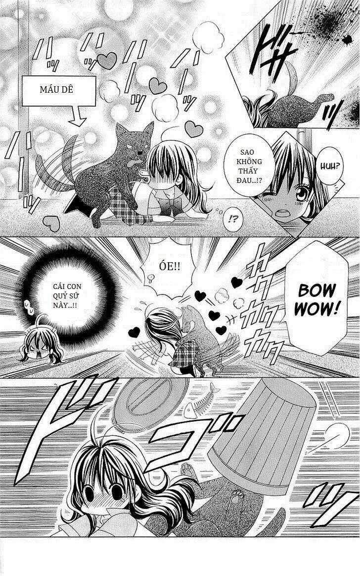 suki desu suzuki-kun!! chapter 42 13