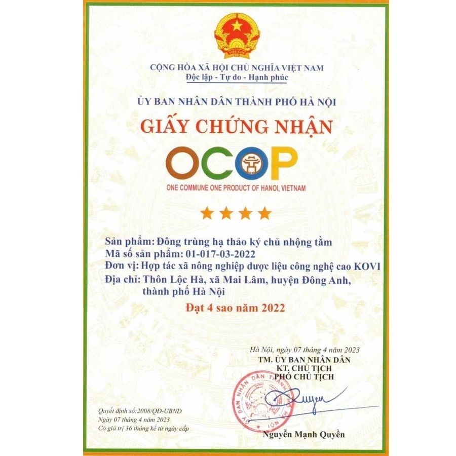 [Mua 3 tặng 1] Đông trùng hạ thảo KOVI ký chủ nhộng tằm nguyên con khô sấy thăng hoa | 50 con