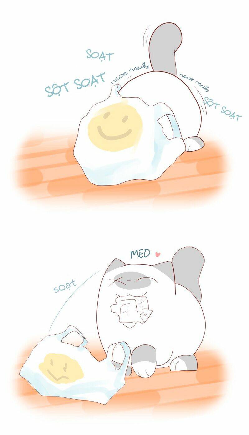 saphie: chú mèo một mắt chapter 5 15