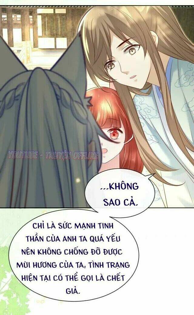 hắc hóa nam chính trực tuyến nuôi thỏ chapter 28 5