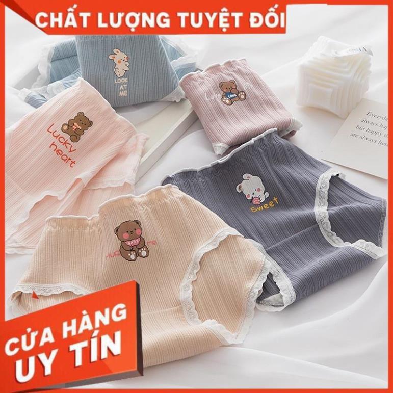Quần Lót Nữ ️ Quần Cotton Nữ Phối Viền Họa Tiết Hình Thỏ và Gấu 485