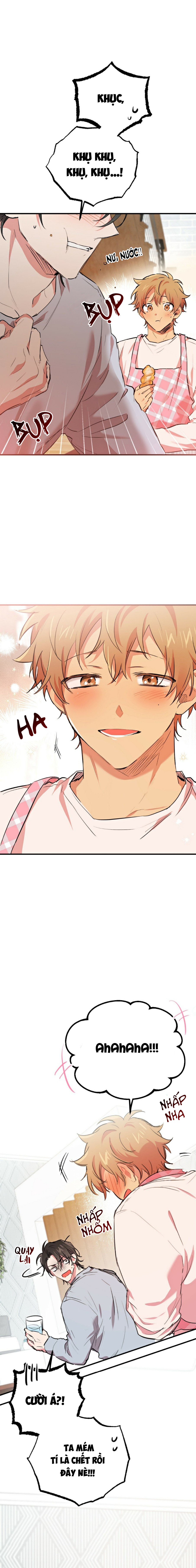 những chú thỏ của hapypy chapter 18 17