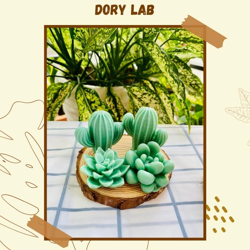 Nến Thơm Các Loại Cây Handmade, Phụ Kiện Trang Trí, Quà Tặng - Dory Lab
