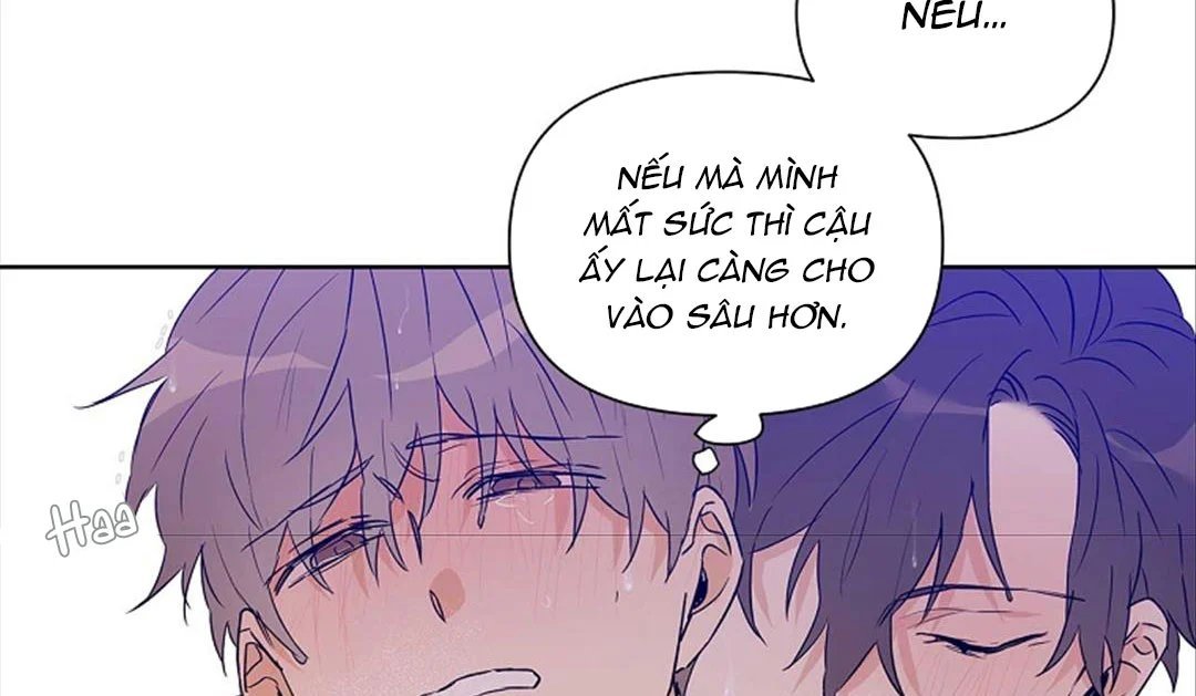 guide cấp b chapter 29 52