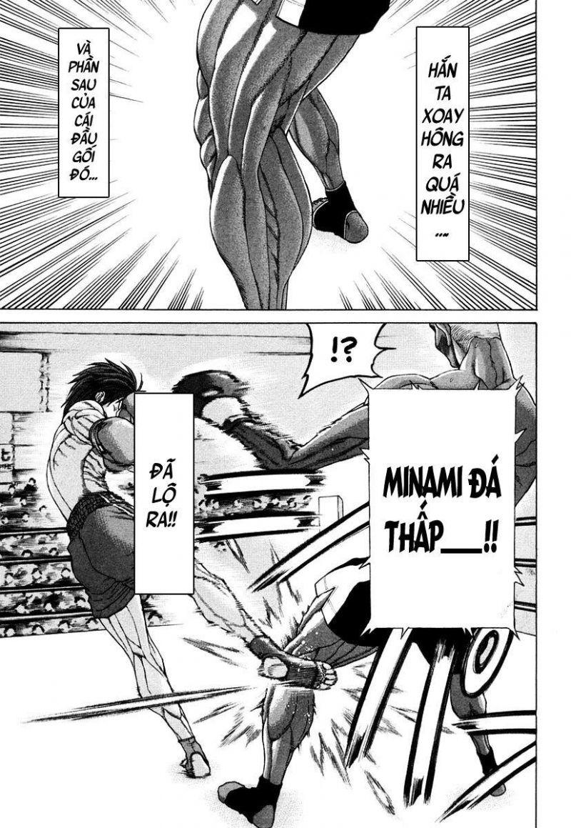 karate shoukoushi kohinata minoru chapter 219 5