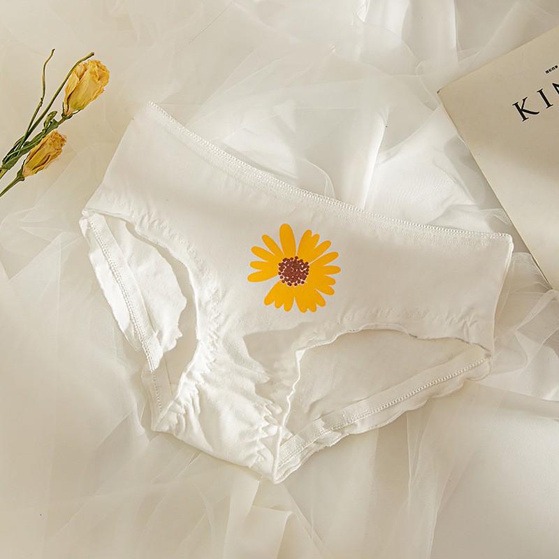 Quần Lót Nữ Cotton Cúc Họa Mi Xuất Nhật Hàng Loại Đẹp.