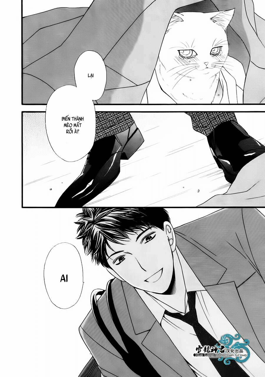 neko neko honey chapter 8 31