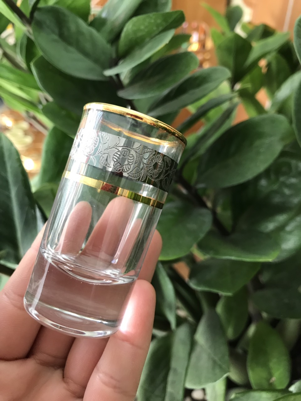 Bộ 6 ly rượu Shot  thủy tinh khảm bạc dung tích 35ml