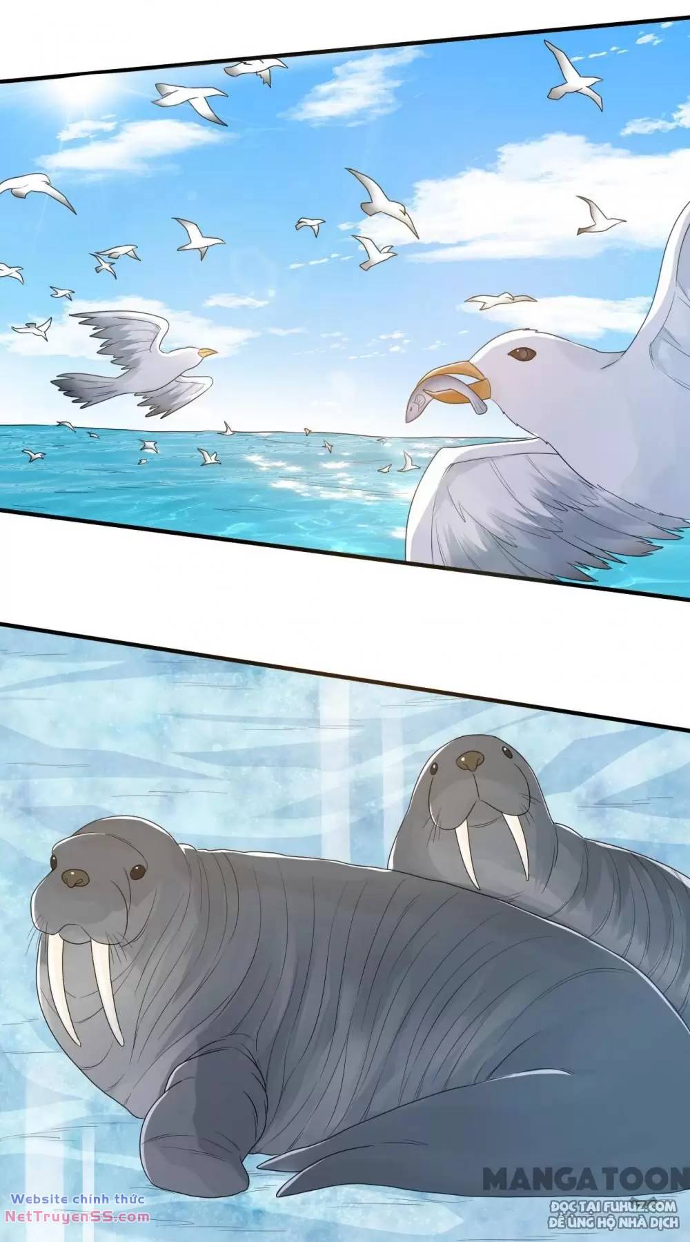 Tôi Sống Trên Hoang Đảo Cùng Các Em Gái chapter 233 11