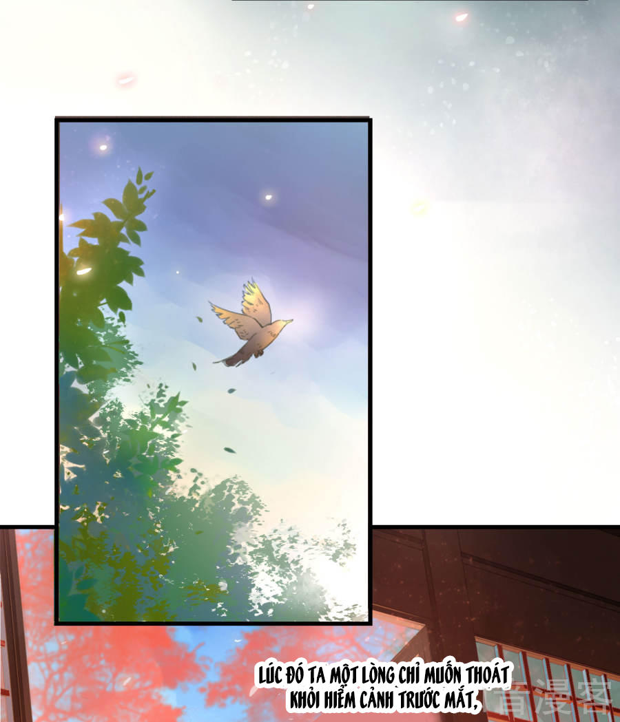 thịnh thế thiên kiêu chapter 1 12