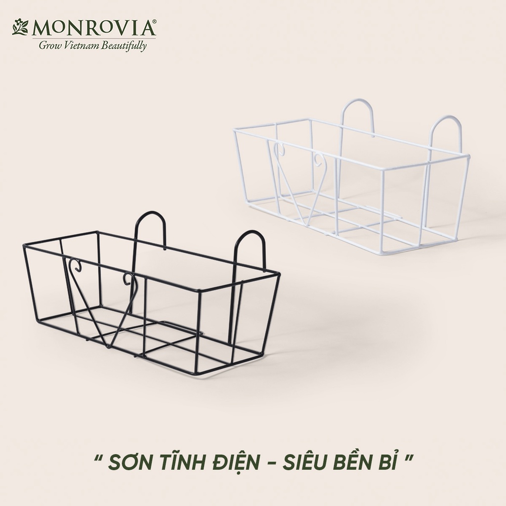Combo chậu nhựa trồng cây chữ nhật kèm giỏ treo hoa ban công Monrovia, chậu trồng rau, khay trồng rau, trồng hoa