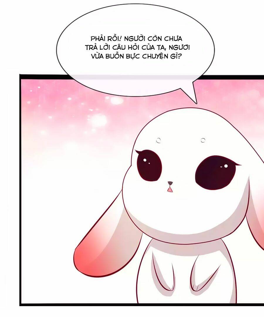 thỏ yêu tiểu vương phi chapter 66 11