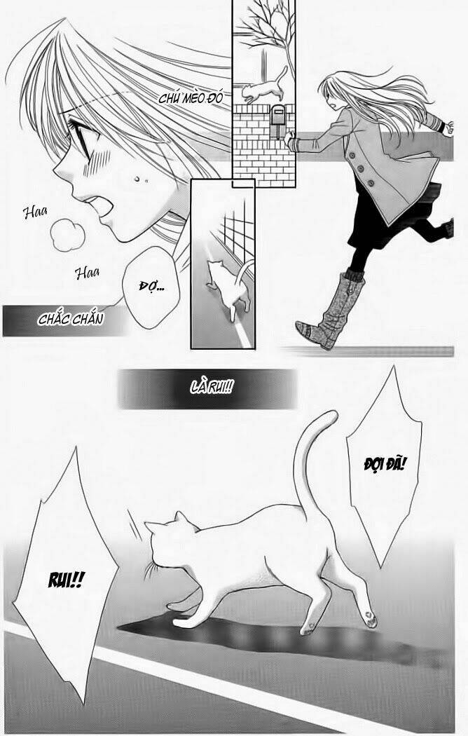 my dear cat chapter 1 37