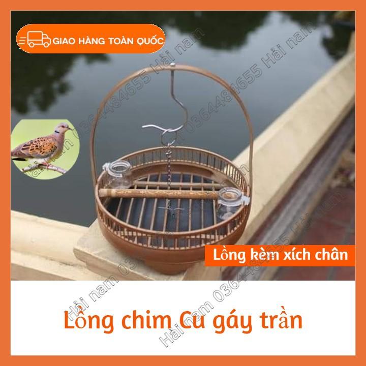 Lồng cu gáy trần - Lồng chim cu gáy đẹp