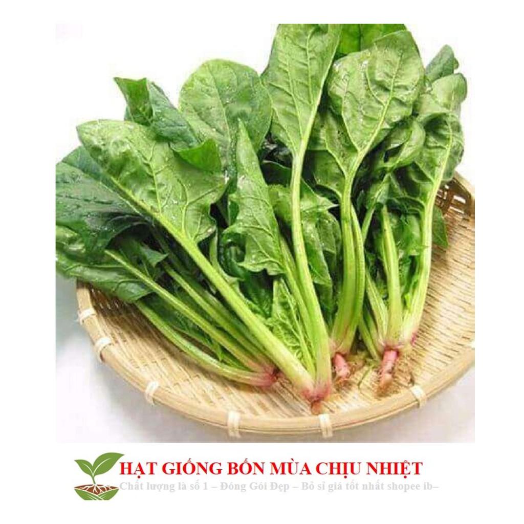GÓI 100 HẠT GIỐNG CẢI BÓ XÔI 10g Hạt Giống Cải Bó Xôi - Chịu Nhiệt, Dễ Trồng Rau Chân Vịt