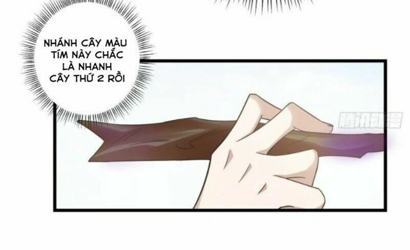 độc bộ thiên hạ: đặc công thần y chapter 206 33