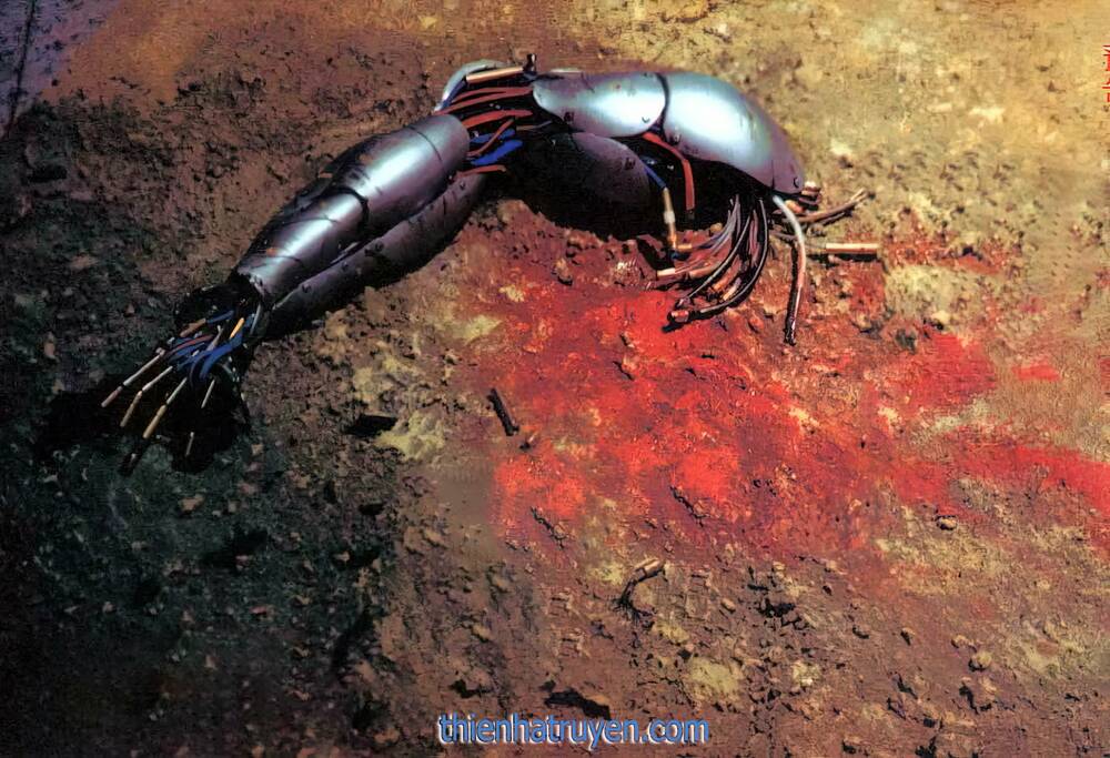 hắc báo liệt truyện chapter 222 15