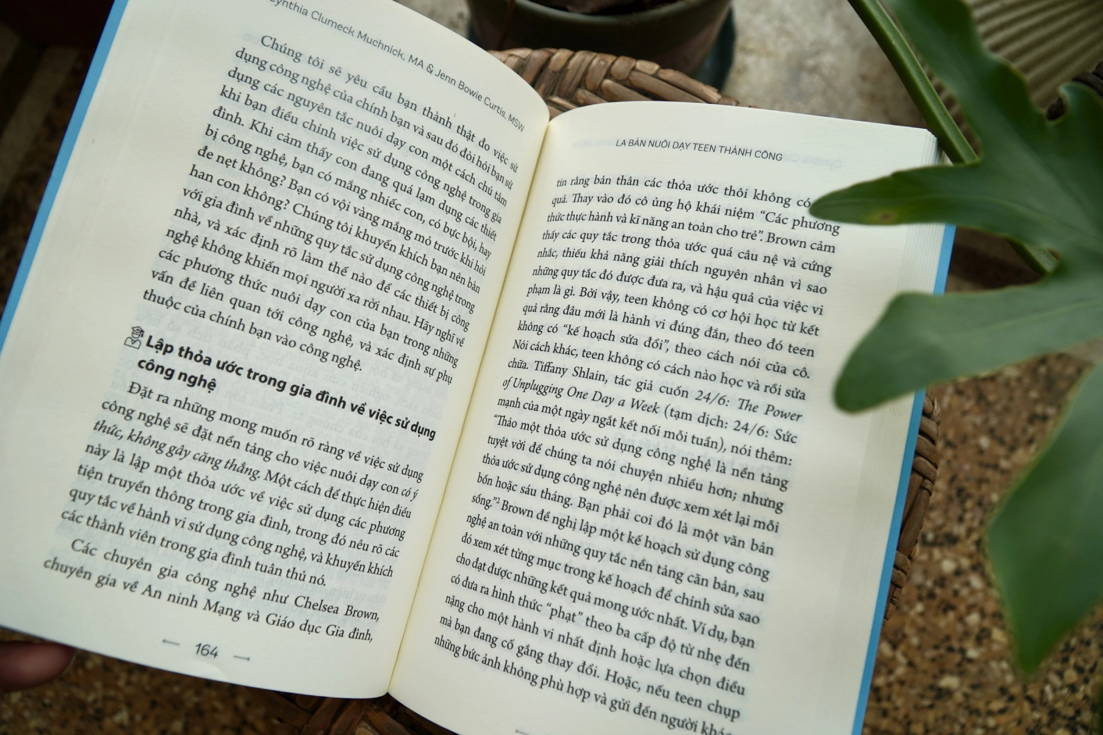 La Bàn Nuôi Dạy Teen Thành Công - PNU