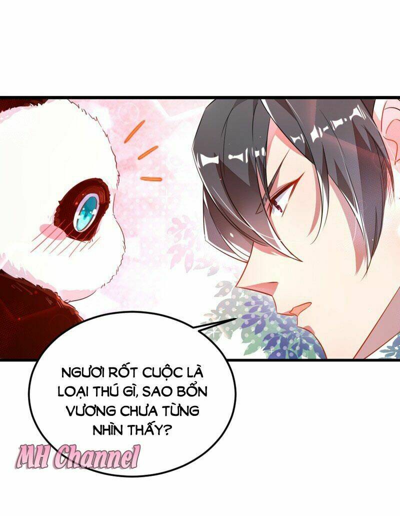 thiên thần gấu trúc muốn được ôm chapter 5 16