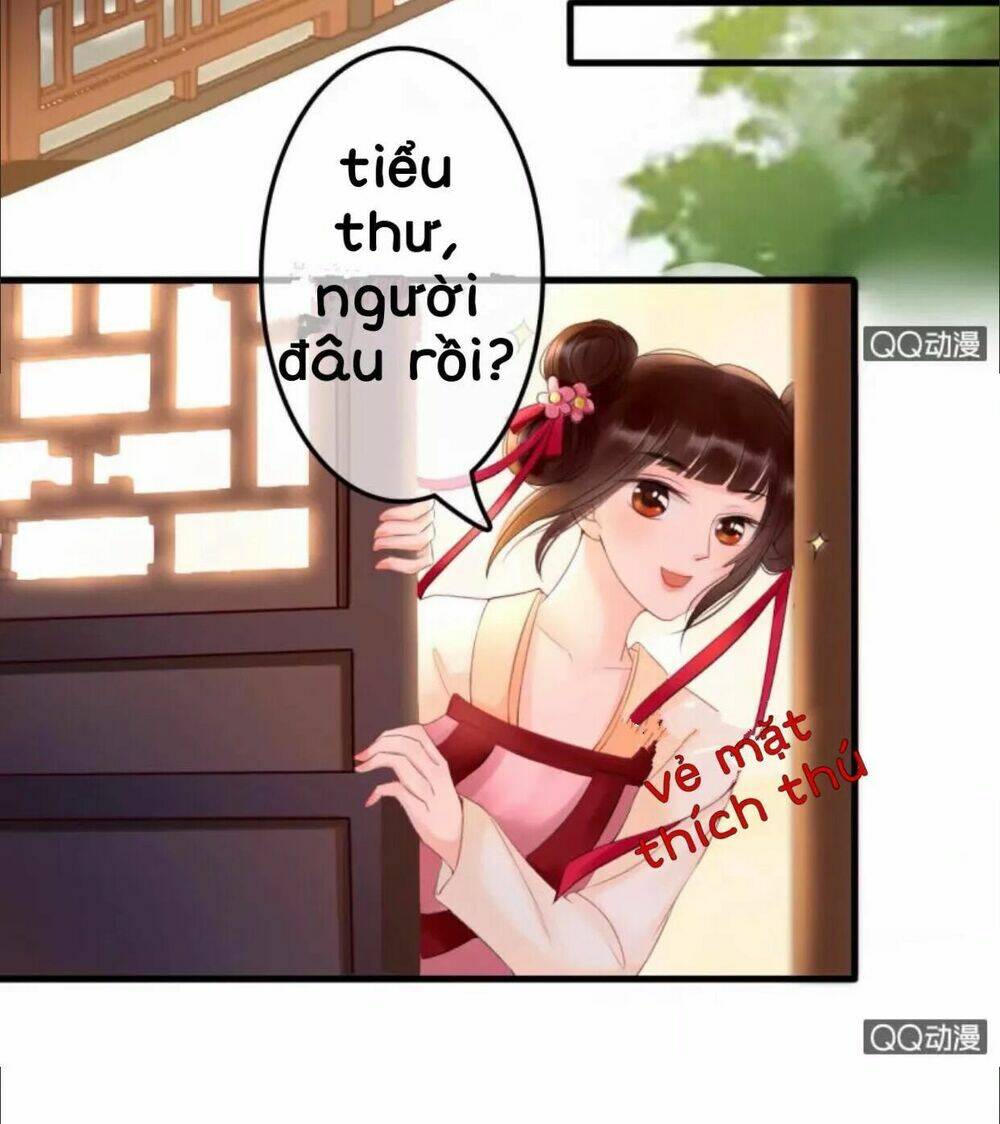 sủng phi của vương chapter 28 11