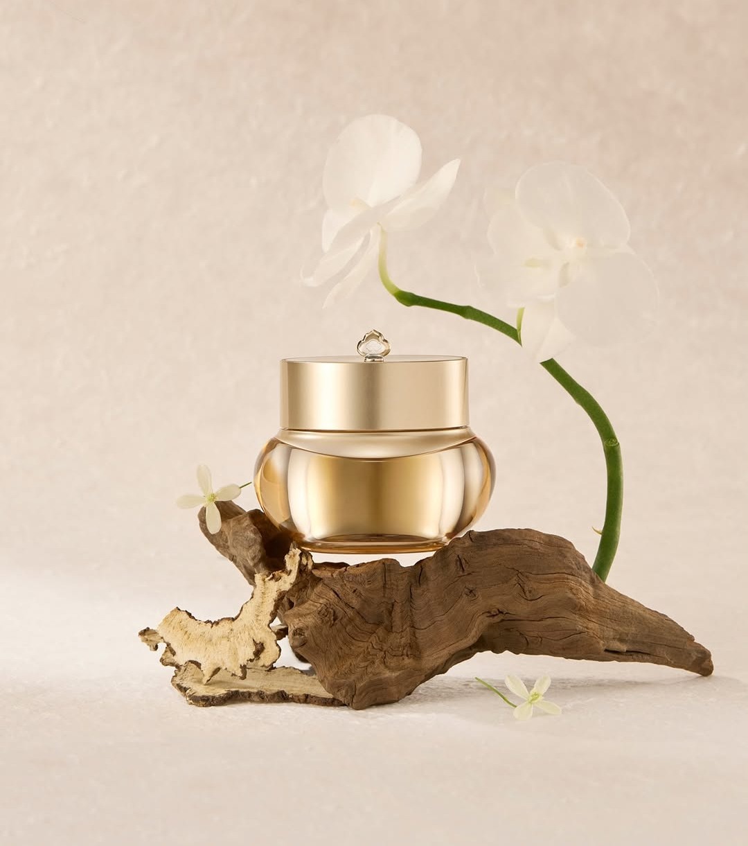 Kem dưỡng ẩm The history of Whoo Gongjinhyang Firming Cream 50ml