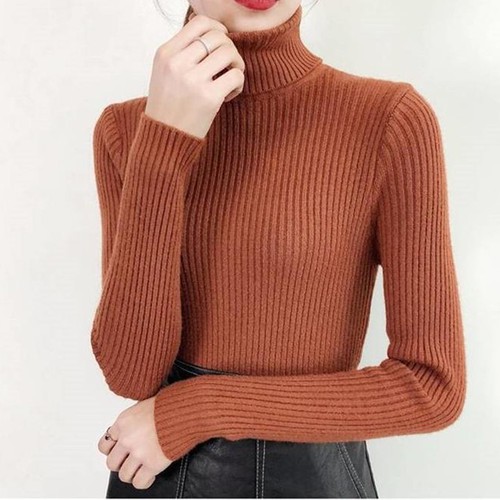 Áo len tơ kéo cổ lọ Style Hàn Quốc 4.5 XINH XẮN