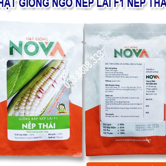 Hạt Giống Ngô Tím Trắng Nếp Lai Nova 100gram