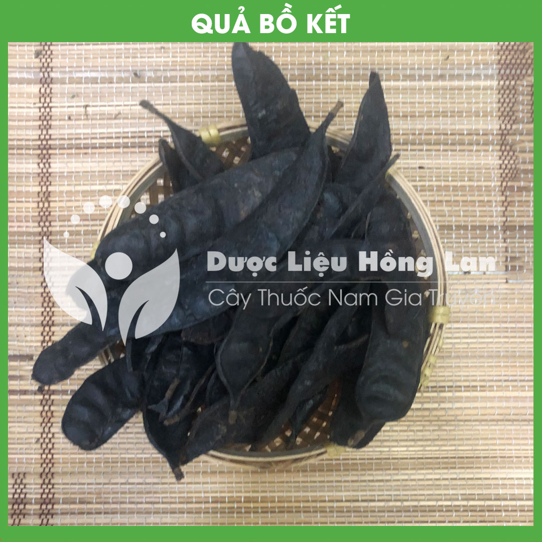 1kg quả bồ kết khô sạch