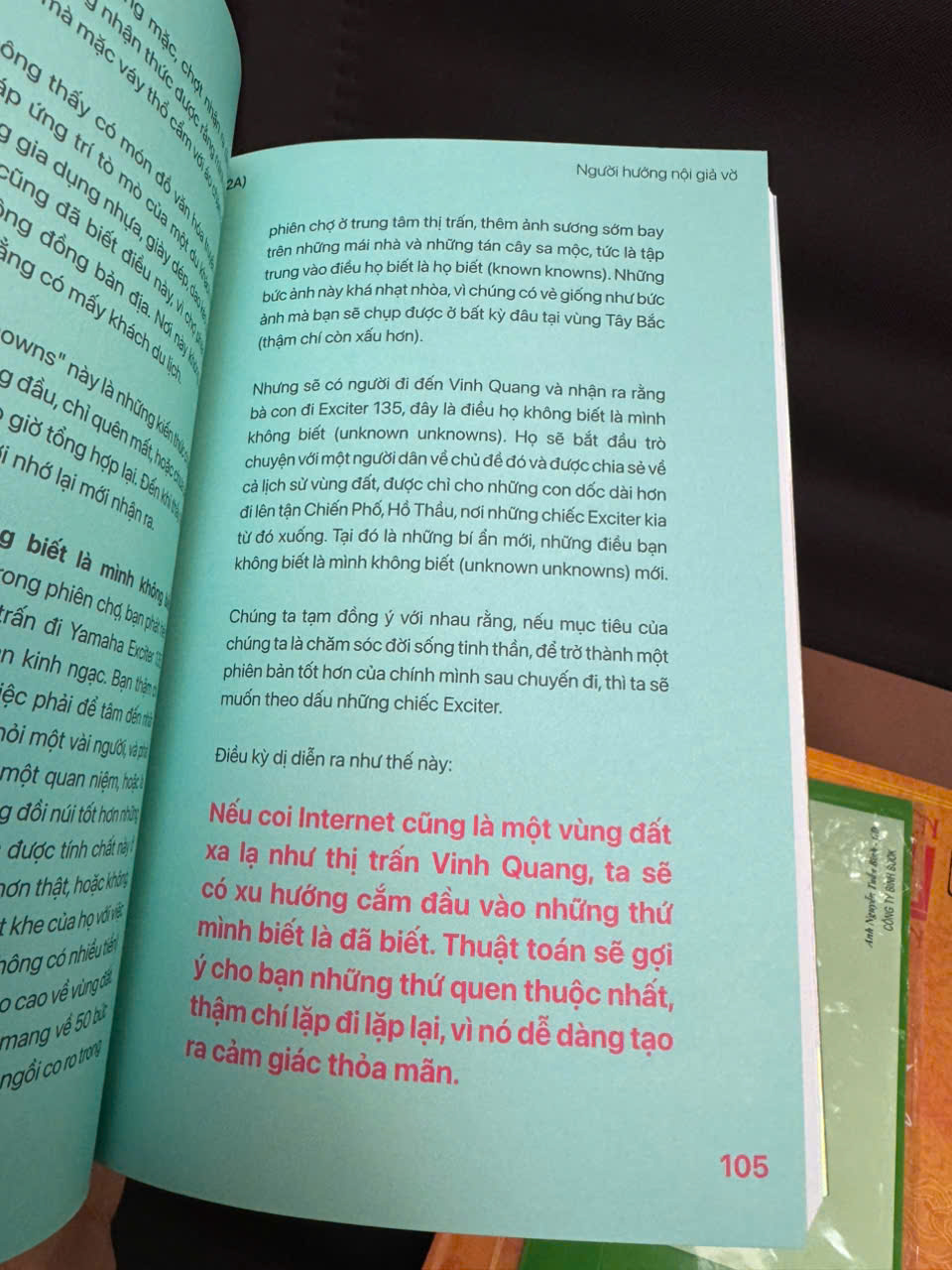 ẢO ẢNH TRONG XÃ HỘI – DƯ THỪA KẾT NỐI - Đinh Đức Hoàng (Hoàng Hối Hận) - Riobook