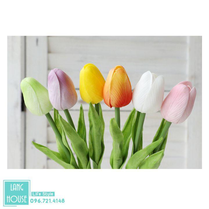 Hoa giả | HOA TULIP CAO CẤP Loại 1 Giống Thật