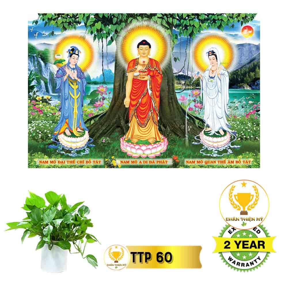 Tranh Tam Thế Phật có khung_TTPK5