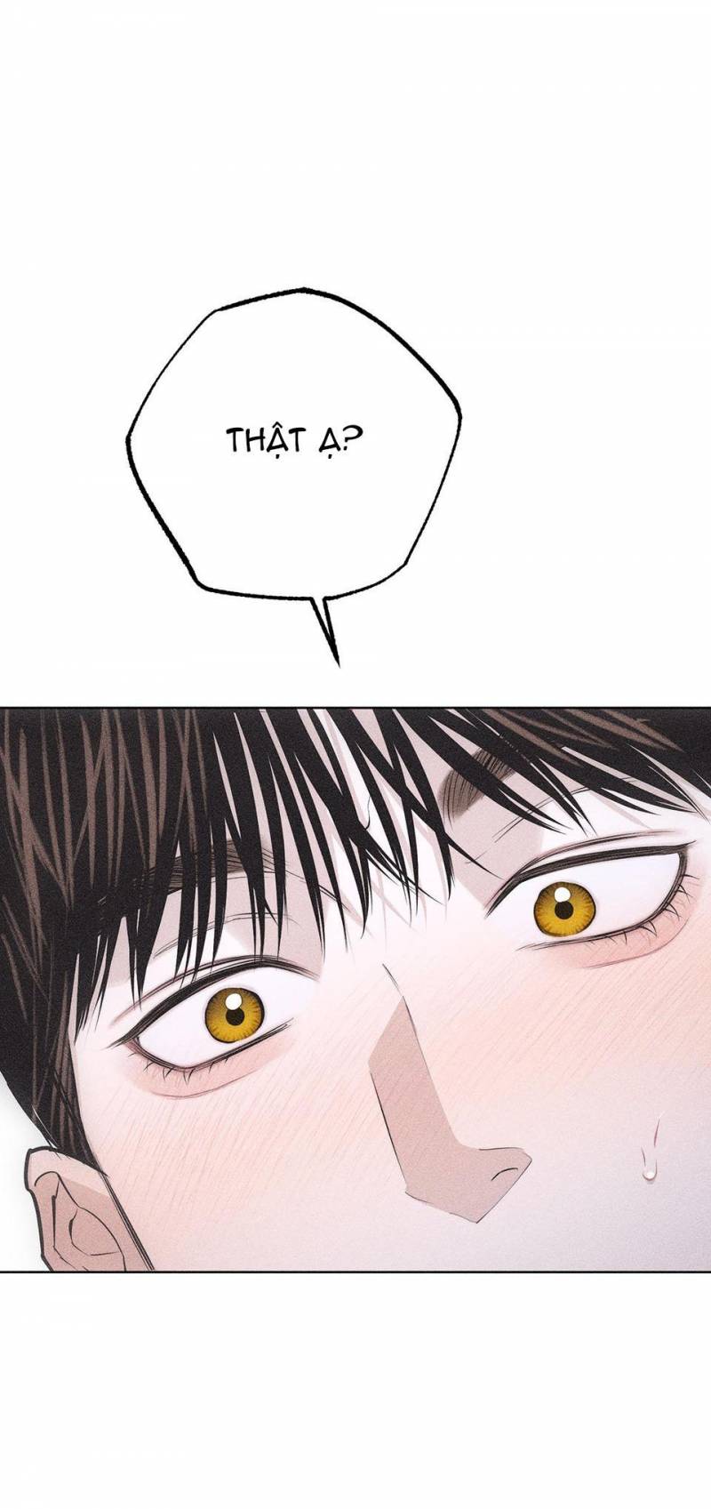 hình thái tình tan chapter 28 76