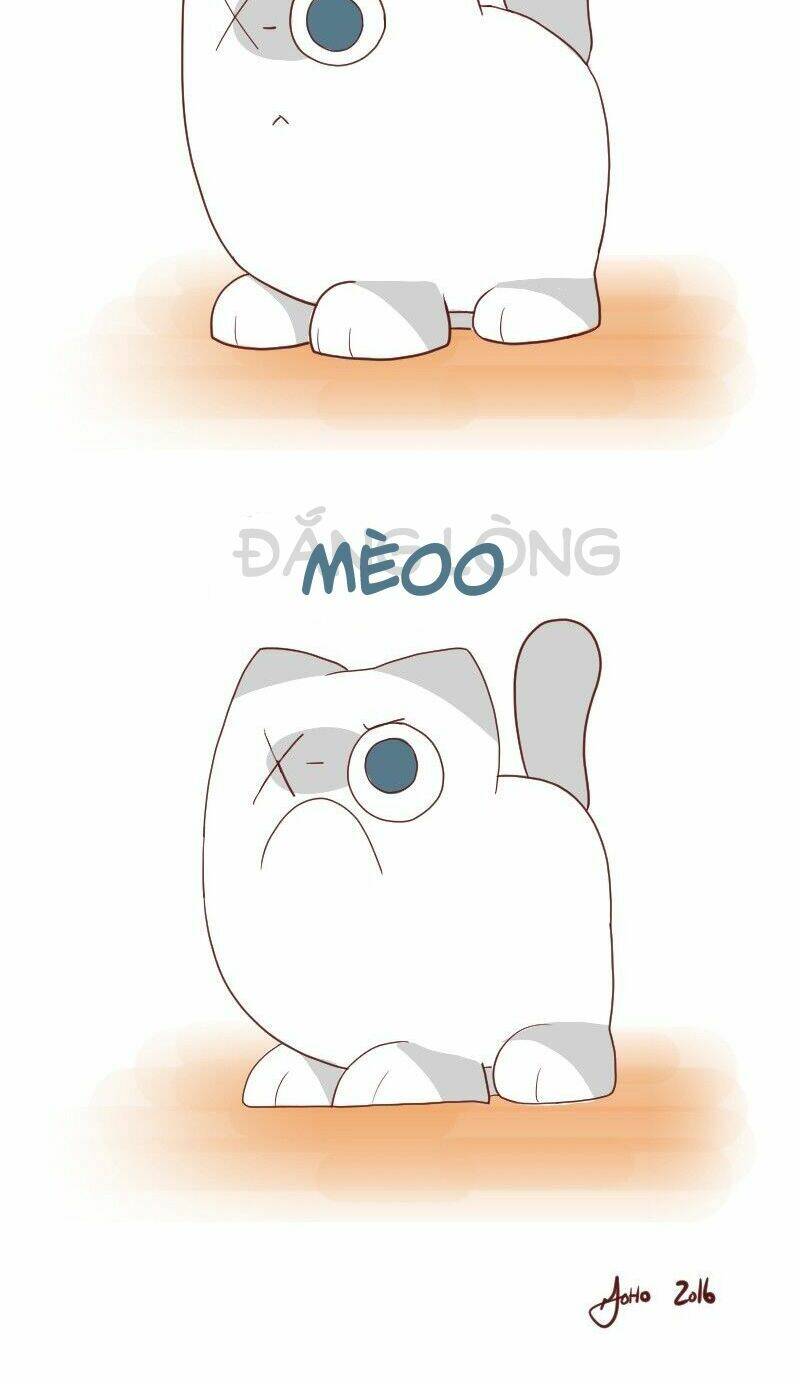 saphie: chú mèo một mắt chapter 6 16