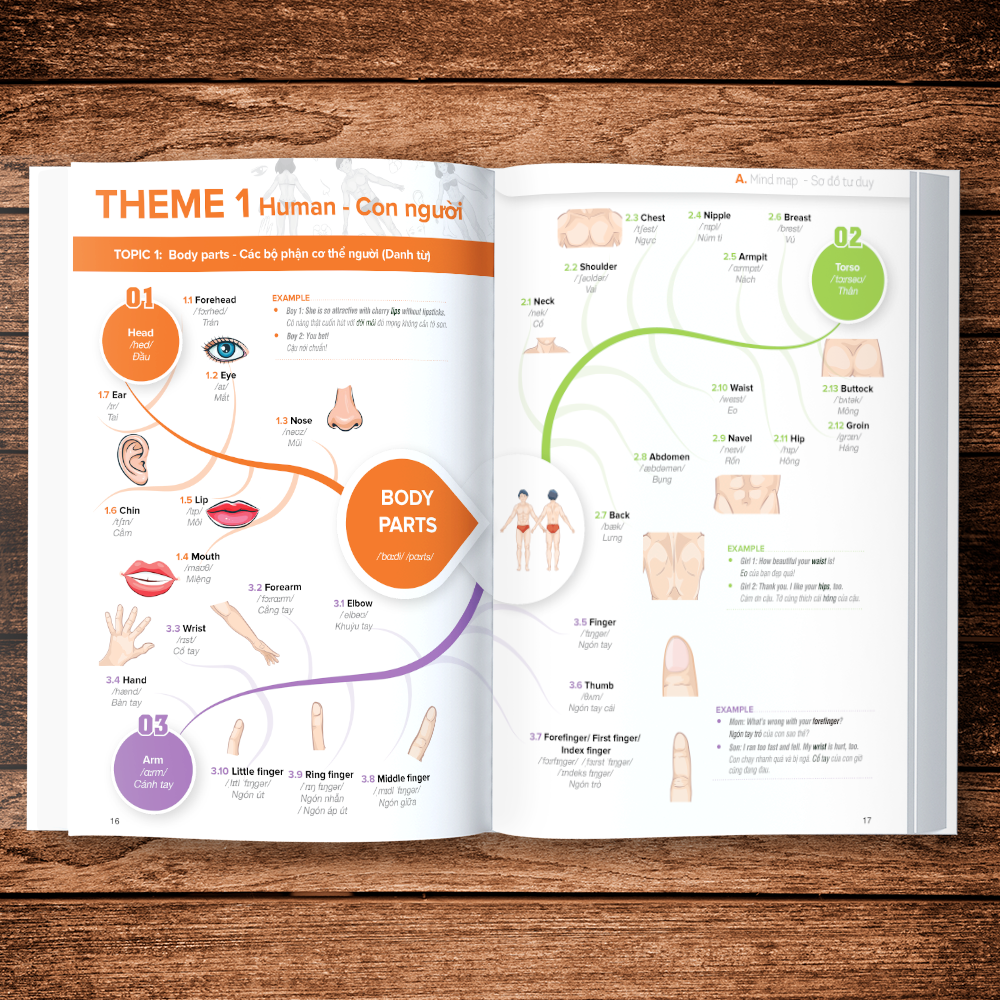 Sách Mind map 3000 Từ Vựng Tiếng Anh KÈM KHOÁ HỌC HITBOOKS