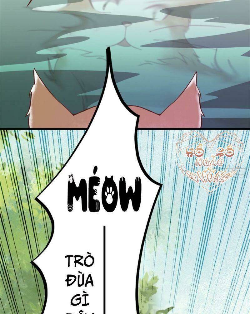 sát thủ vương phi không dễ chọc chapter 30 29