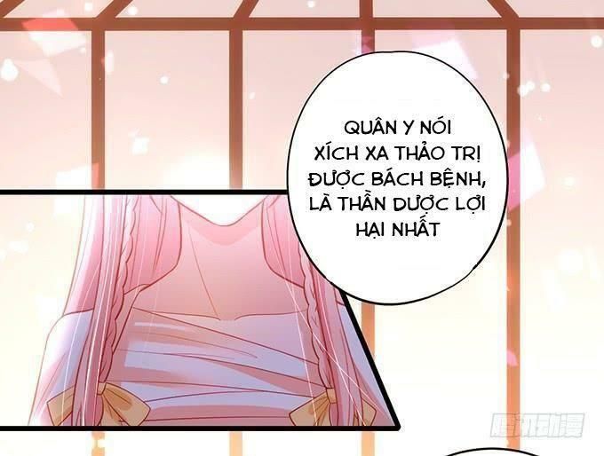 hồ tiên hung bạo chapter 114 70