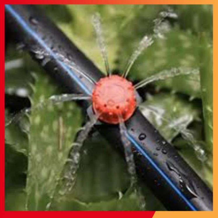 400 BÉC TƯỚI NHỎ GIỌT 8 TIA 206852e