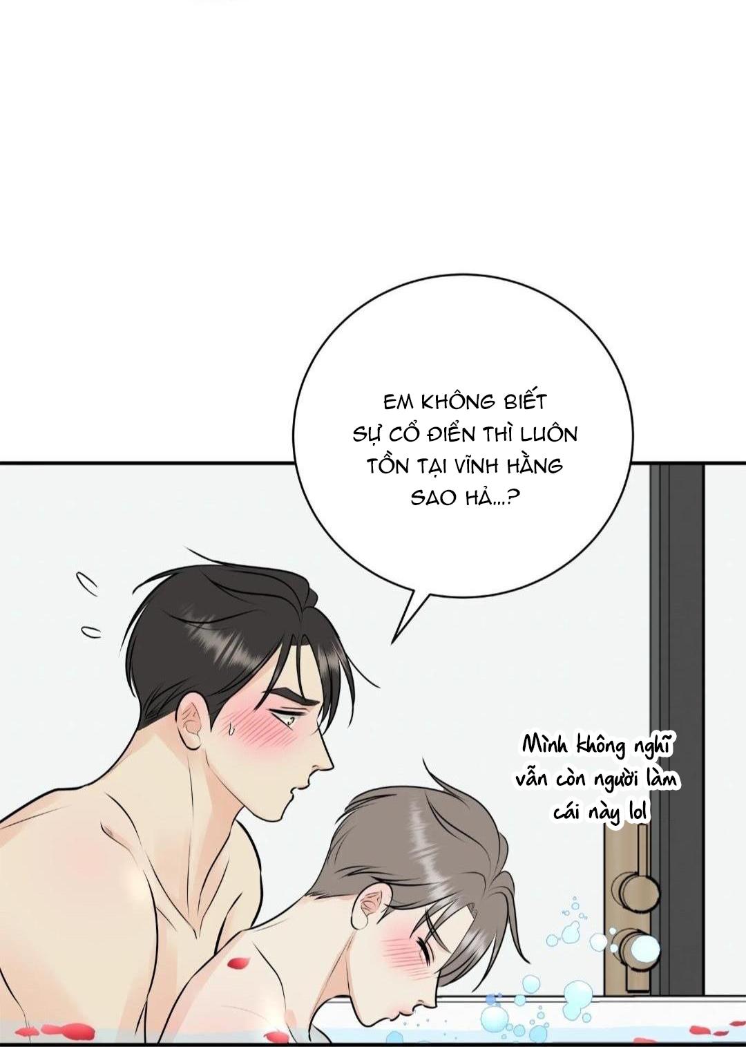 hạnh phúc trọn vẹn chapter 22 37