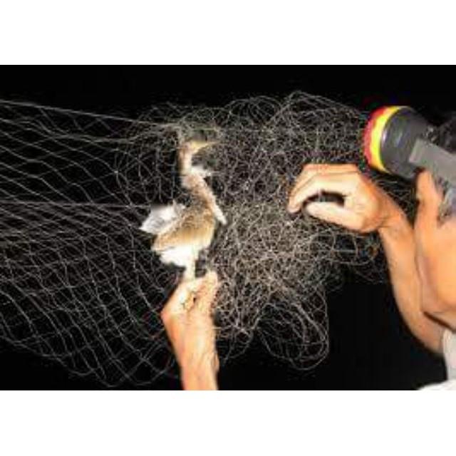 Lưới bẫy chim cò dài 30m bằng dù chất lượng cao ( rẻ vô địch ) docaucagiangnam